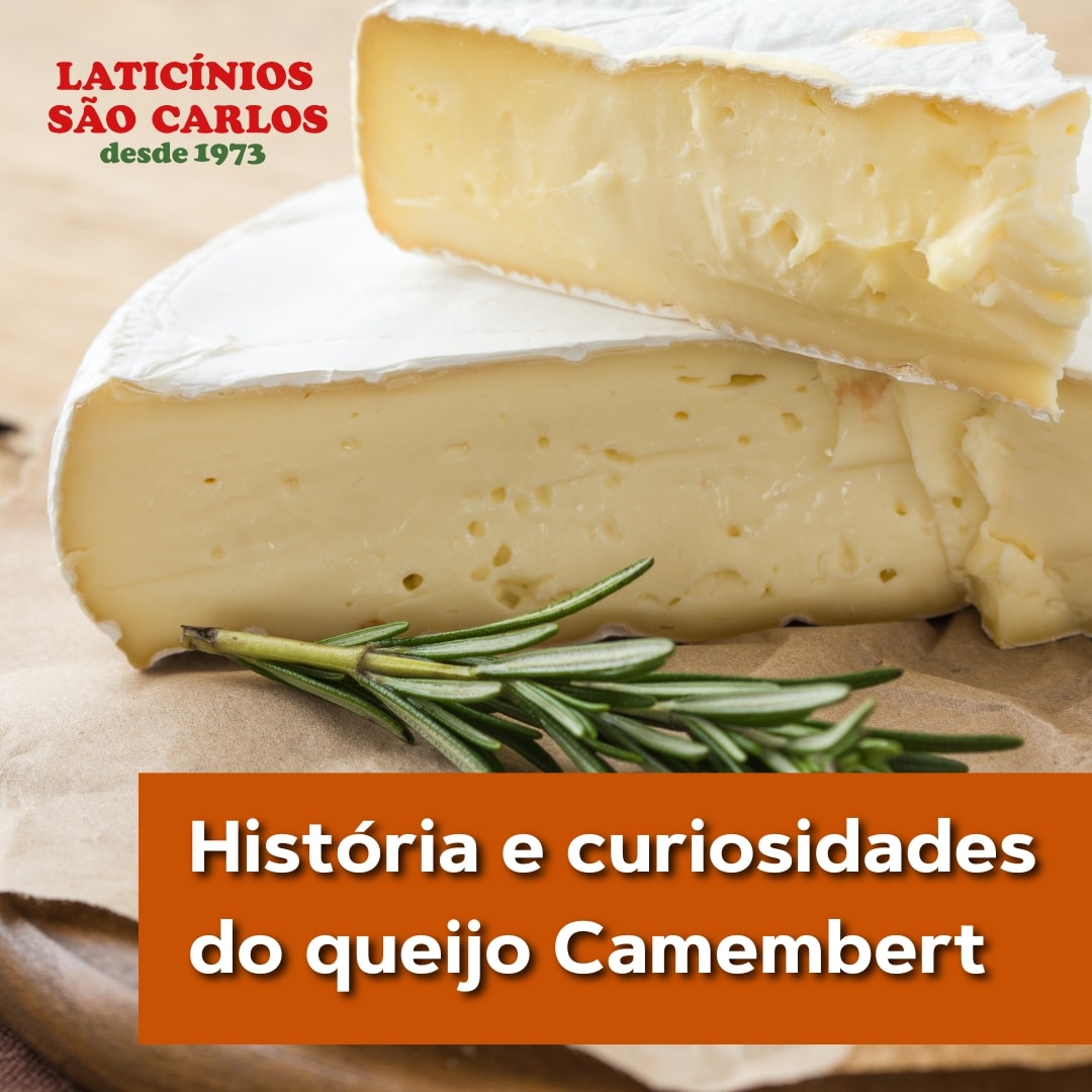 História e curiosidades do queijo Camembert