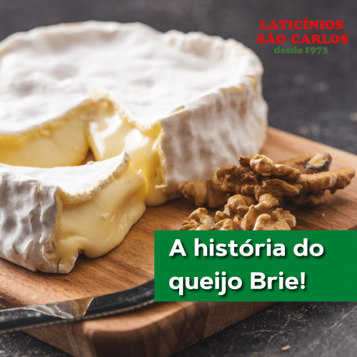 Laticínios SC Posts Laticínios SC Posts