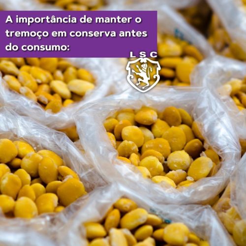 Laticínios SC Posts (2)