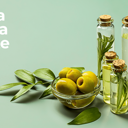 thumbs-laticionios-sao-carlos-fev-2023-01-V1 (1)